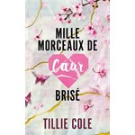 1000 Morceaux De Coeur Brise