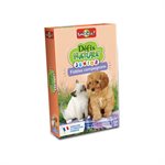 Defis Nature Junior Fideles Compagnons (FR)